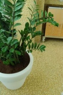 Arredamento moderno