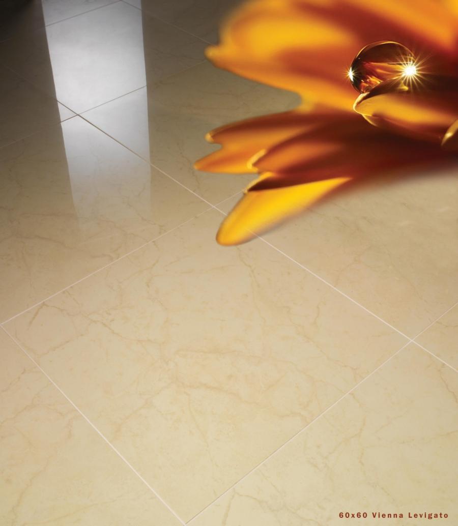 60 x 60 VIENNA LEVIGATO